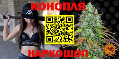 мдпв Татарск