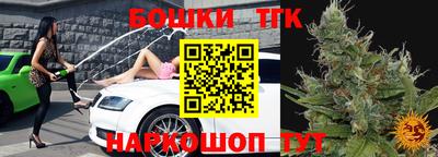 мдпв Татарск