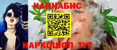 сатива Тверь